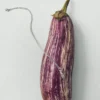 Naszyjnik Alba Silver Cardamom Pod Naszyjnik Alba Silver Cardamom Pod